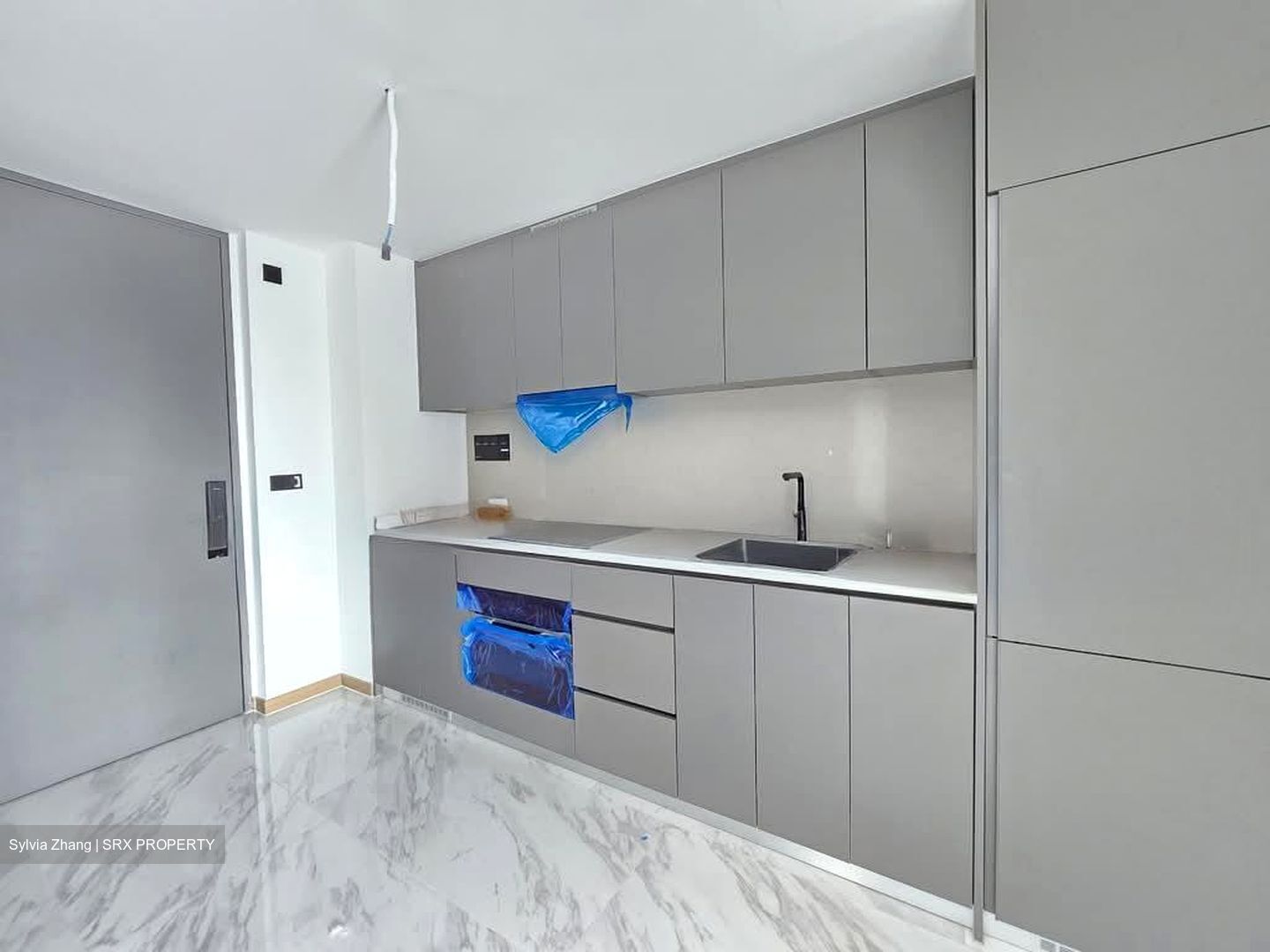 The Landmark (D3), Condominium #534215761